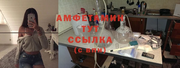 мет Алексин