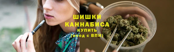 ГАЛЛЮЦИНОГЕННЫЕ ГРИБЫ Алзамай