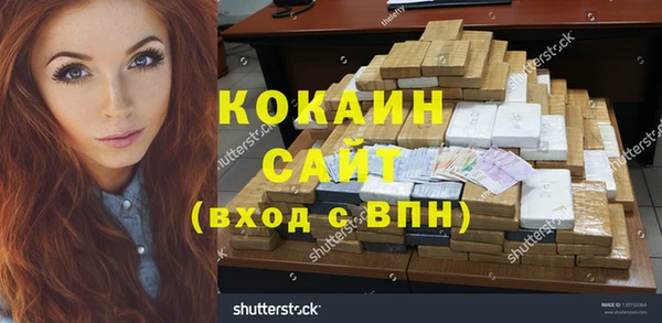 мет Алексин