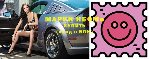 мет Алексин